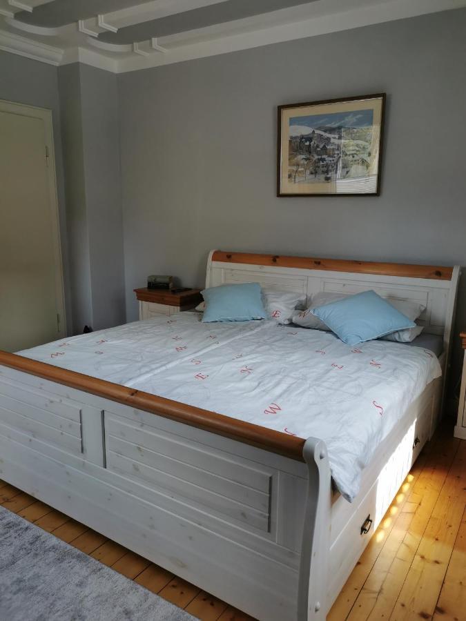 Ferienwohnung In Waldrandlage In Nationalpark Schleiden / Eifel Exteriör bild