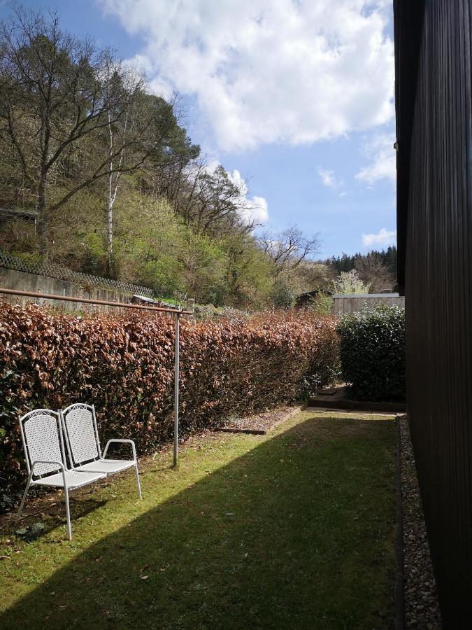 Ferienwohnung In Waldrandlage In Nationalpark Schleiden / Eifel Exteriör bild