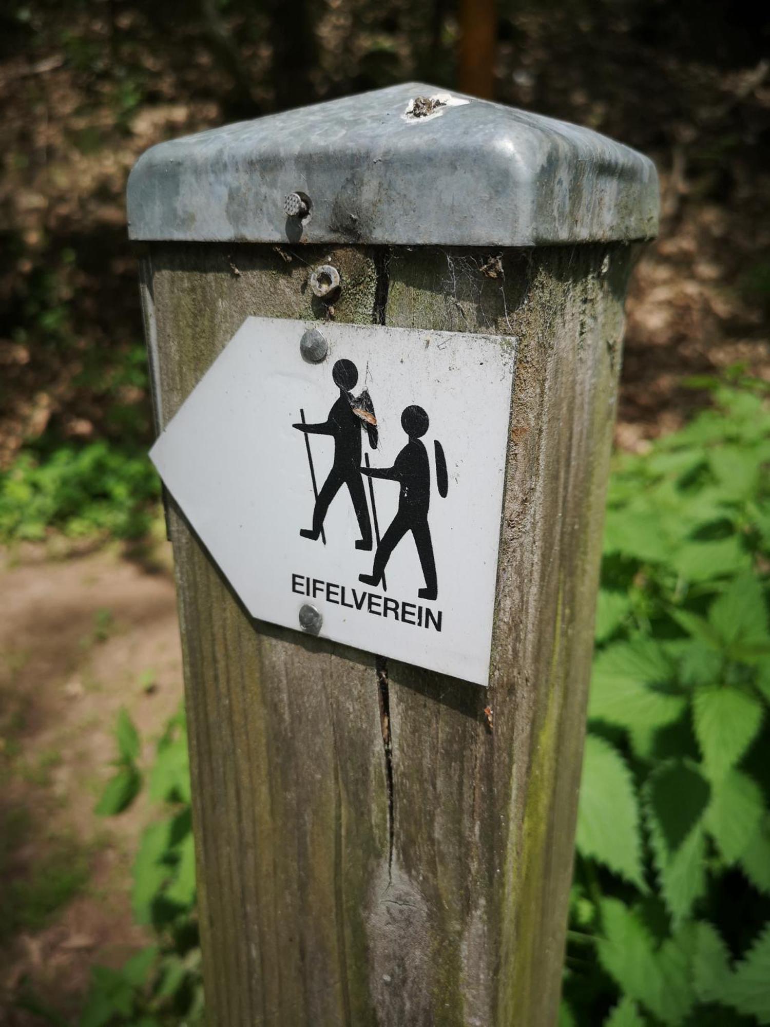 Ferienwohnung In Waldrandlage In Nationalpark Schleiden / Eifel Exteriör bild