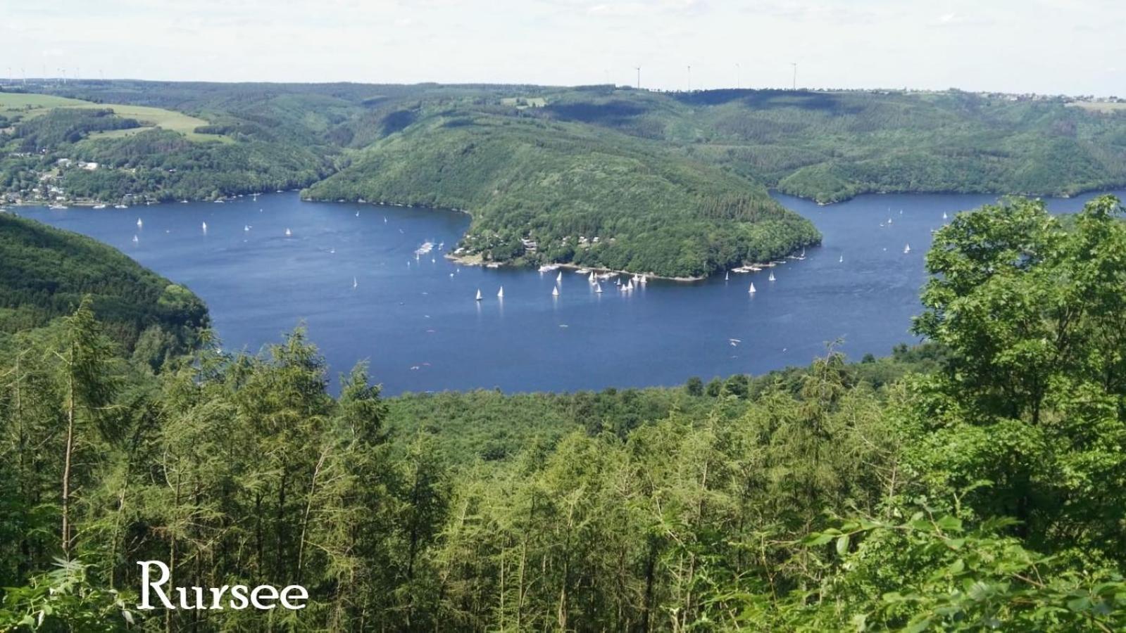 Ferienwohnung In Waldrandlage In Nationalpark Schleiden / Eifel Exteriör bild