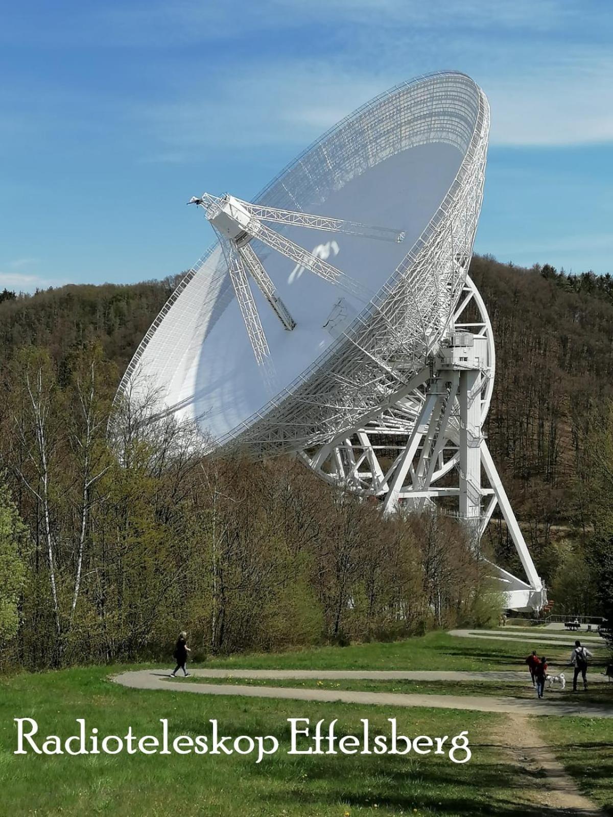 Ferienwohnung In Waldrandlage In Nationalpark Schleiden / Eifel Exteriör bild