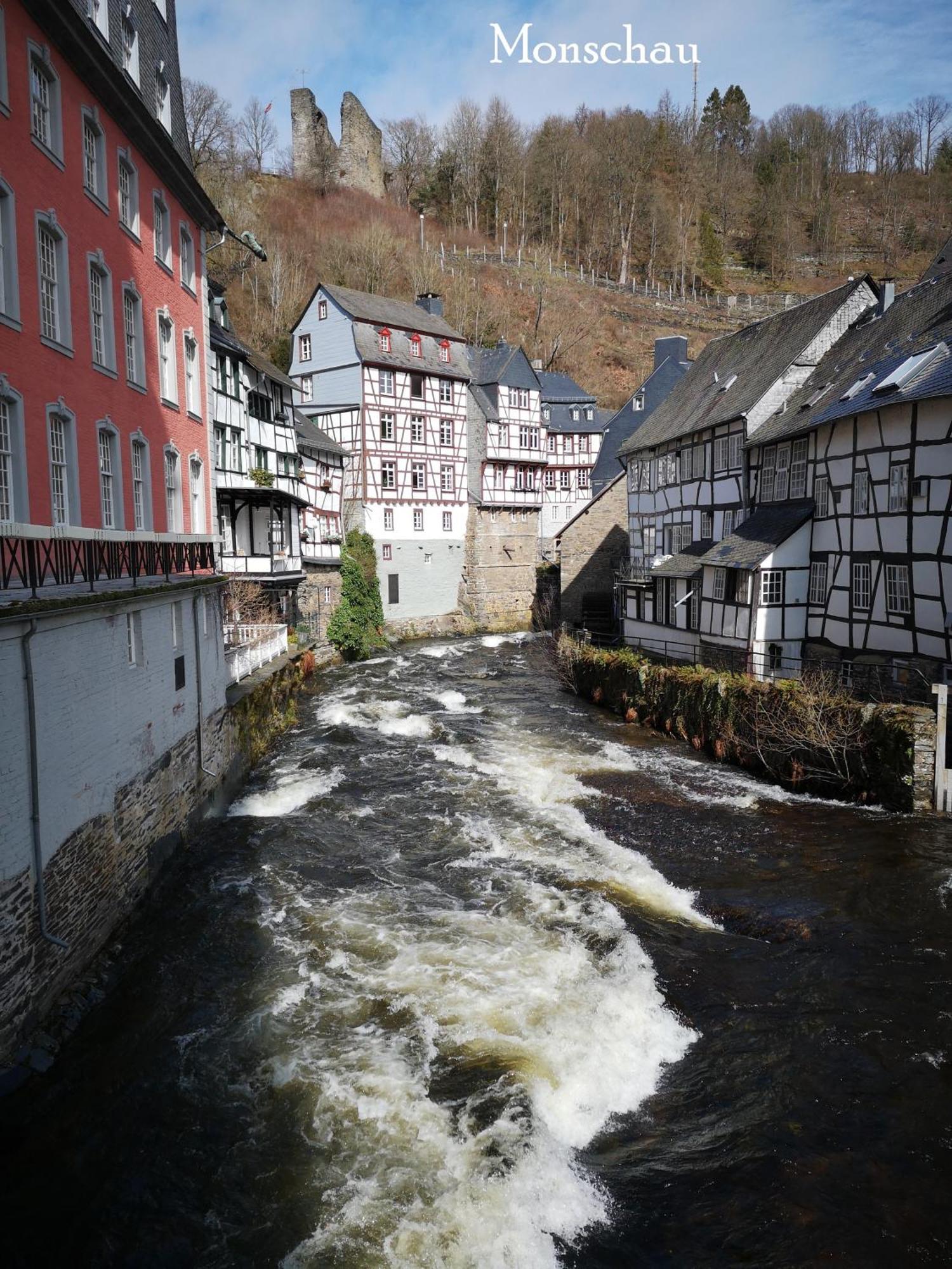 Ferienwohnung In Waldrandlage In Nationalpark Schleiden / Eifel Exteriör bild
