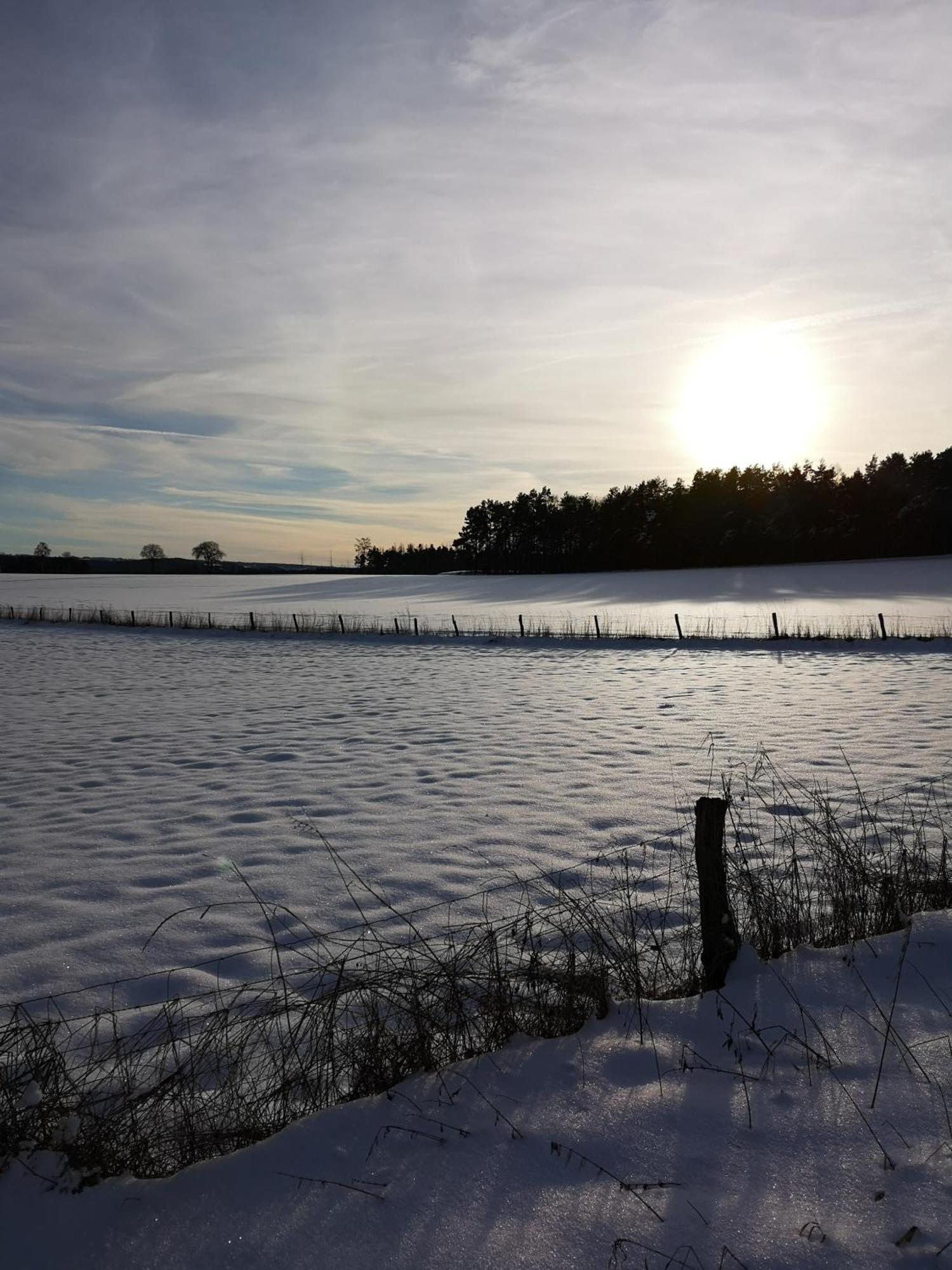 Ferienwohnung In Waldrandlage In Nationalpark Schleiden / Eifel Exteriör bild