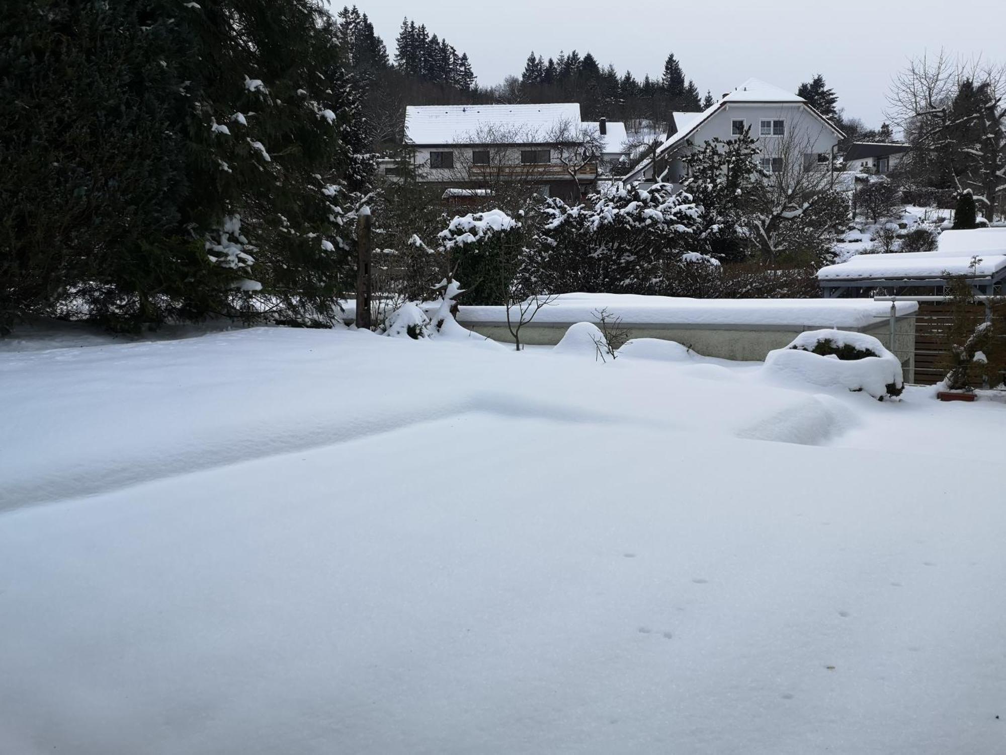 Ferienwohnung In Waldrandlage In Nationalpark Schleiden / Eifel Exteriör bild