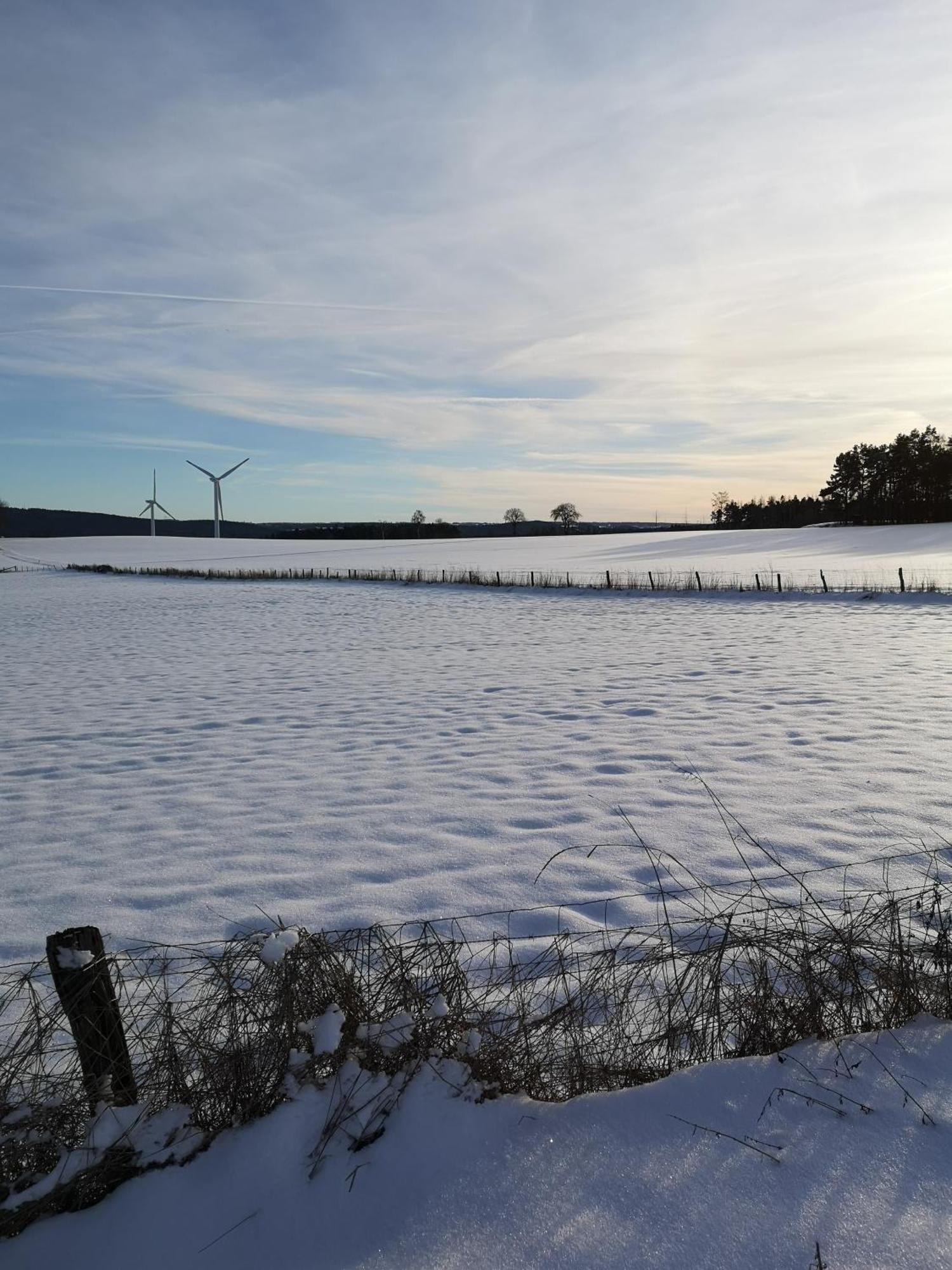 Ferienwohnung In Waldrandlage In Nationalpark Schleiden / Eifel Exteriör bild