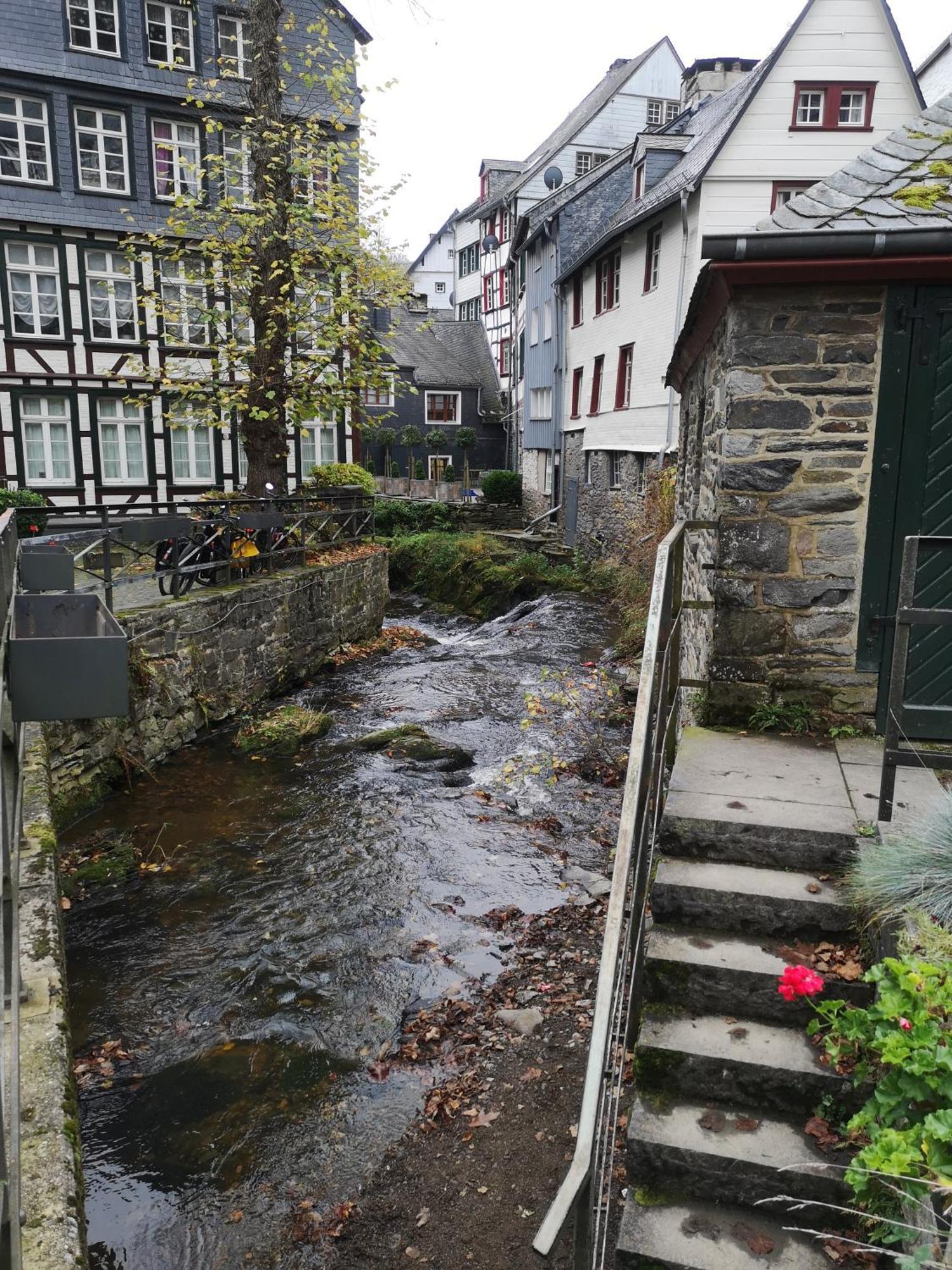 Ferienwohnung In Waldrandlage In Nationalpark Schleiden / Eifel Exteriör bild