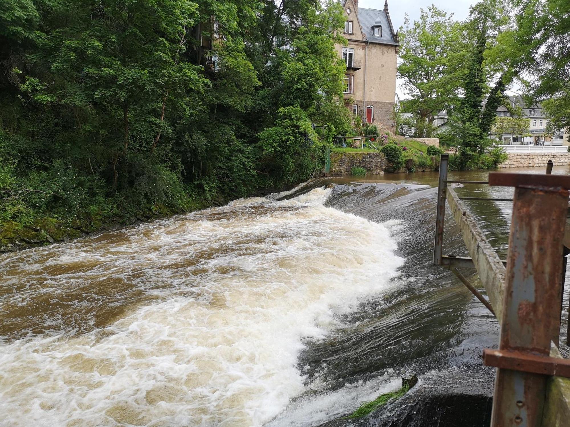 Ferienwohnung In Waldrandlage In Nationalpark Schleiden / Eifel Exteriör bild