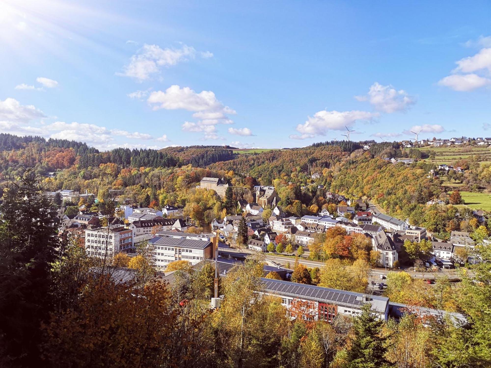 Ferienwohnung In Waldrandlage In Nationalpark Schleiden / Eifel Exteriör bild
