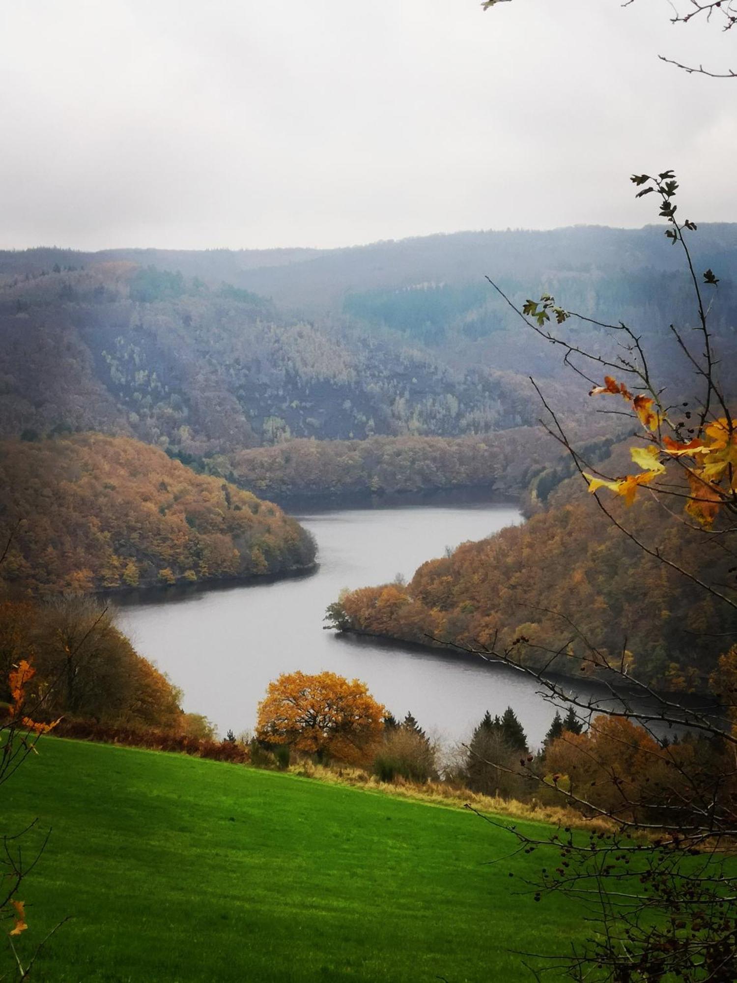 Ferienwohnung In Waldrandlage In Nationalpark Schleiden / Eifel Exteriör bild